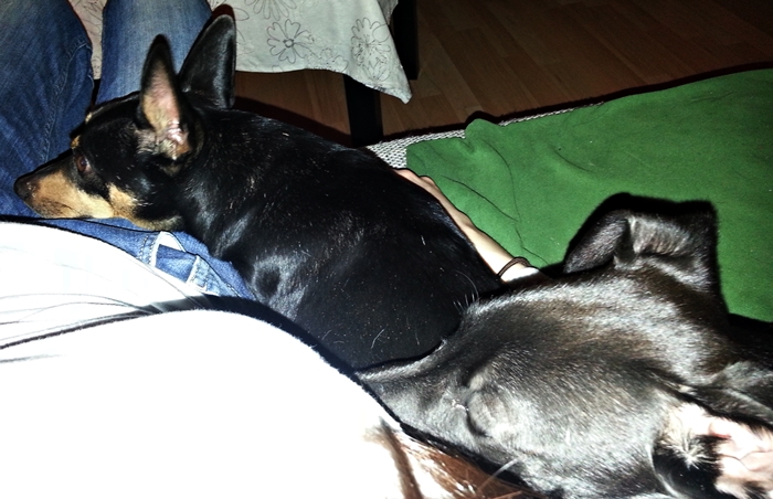20130320_202954.jpg