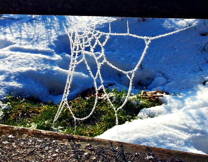20130315_082705.jpg