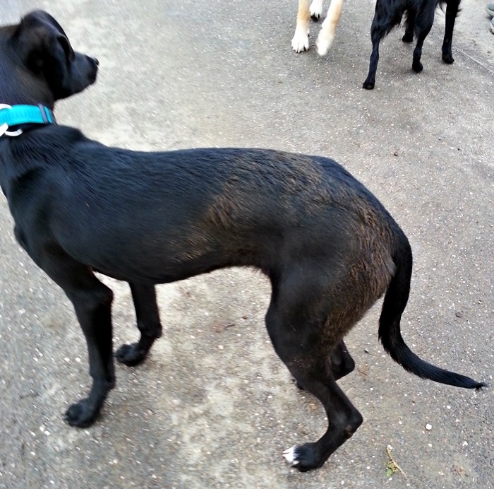 20130321_161804.jpg