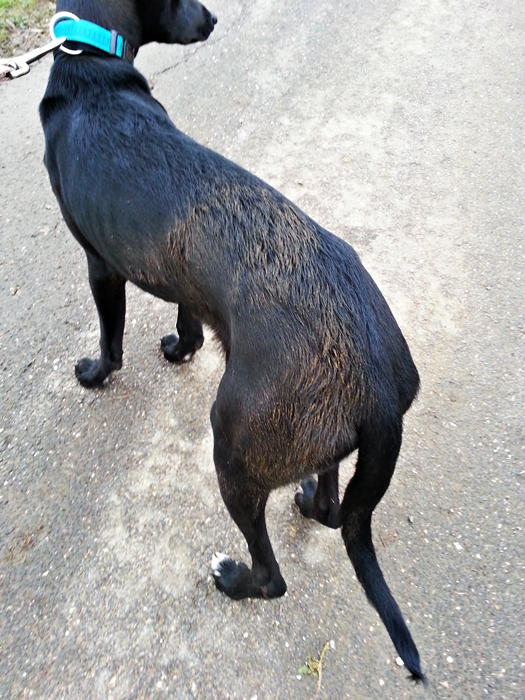 20130321_161807.jpg