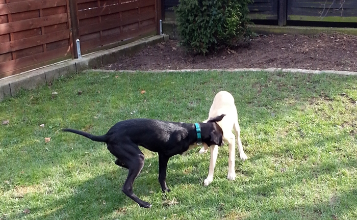 20130322_154305.jpg