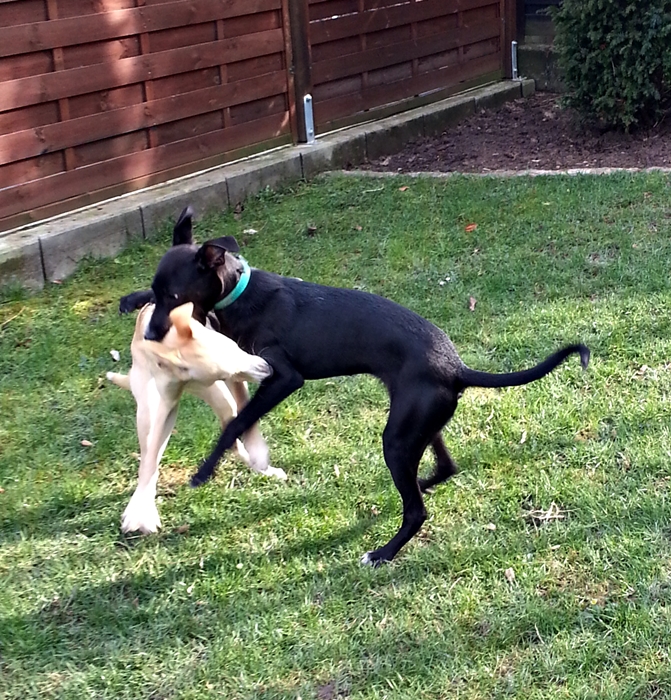 20130322_154307.jpg
