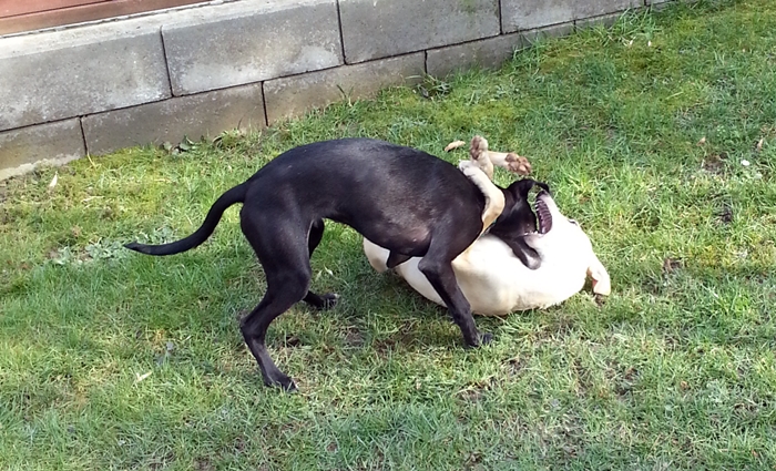 20130322_154315.jpg