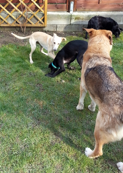 20130322_154333.jpg