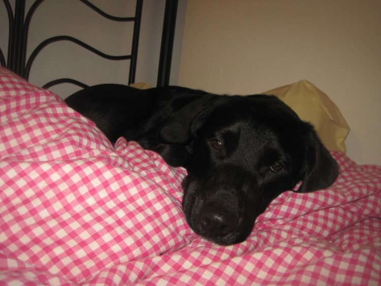 ich geh schon mal ins Bett.jpg