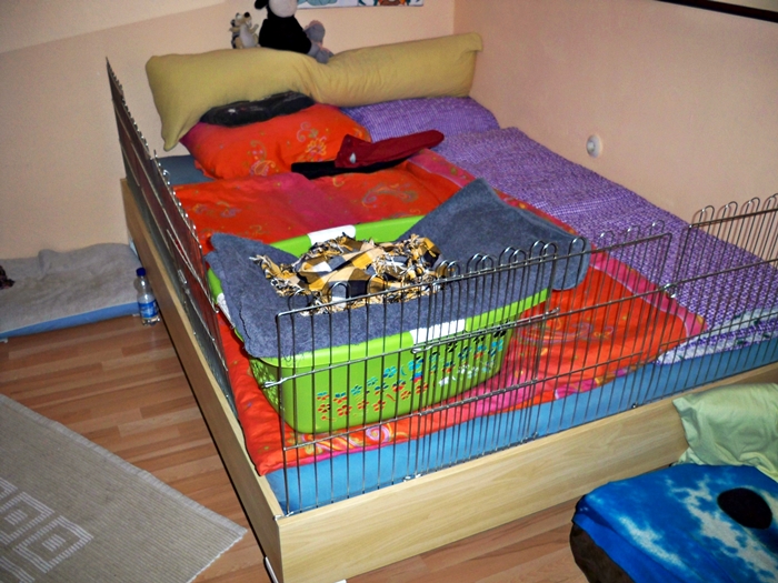 101_4181.JPG