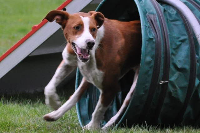 WHV und Seminar 287.jpg