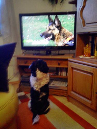 Foto0121.jpg