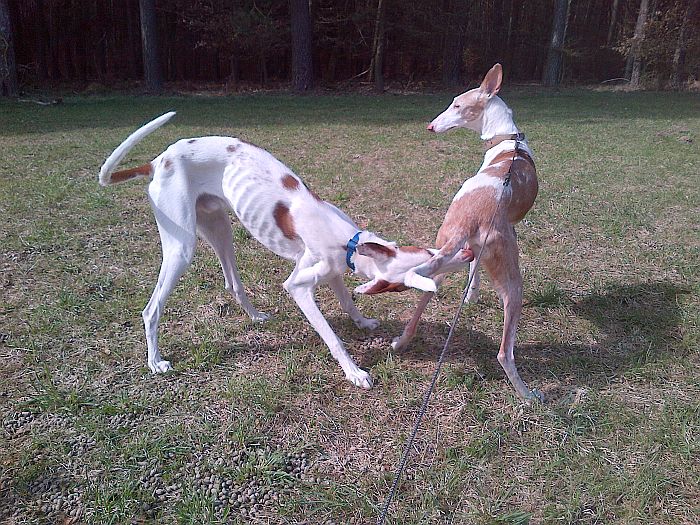 Lilith und Curro 2.jpg