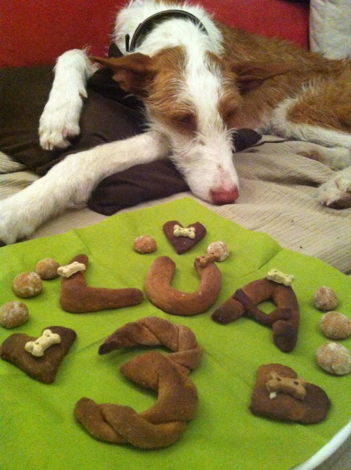 Luna 3 Jahre.jpg