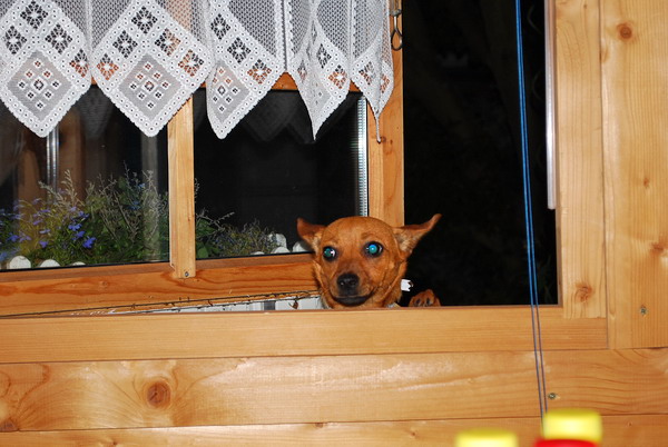 DSC_0032.jpg