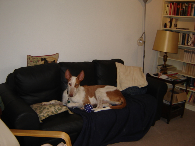 DSC02302 (FILEminimizer).JPG