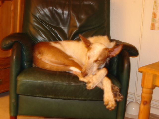 DSC02389 (FILEminimizer).JPG