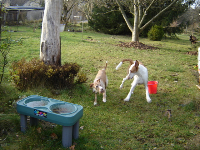 DSC02410 (FILEminimizer).JPG