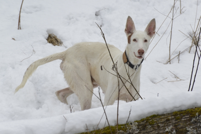 _DSC0568.JPG