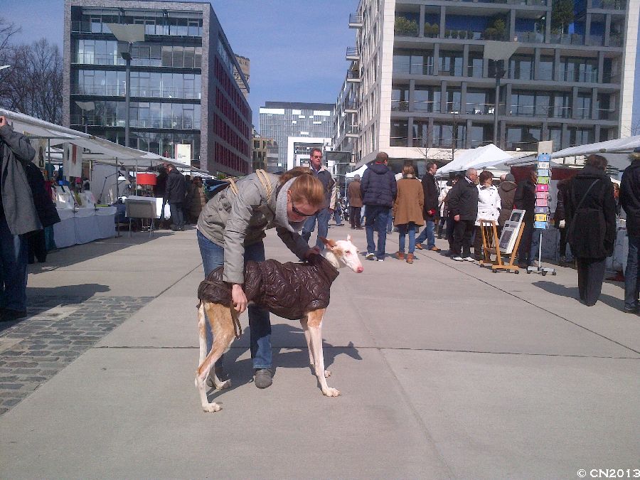 900_IMG-20130401-01497.jpg