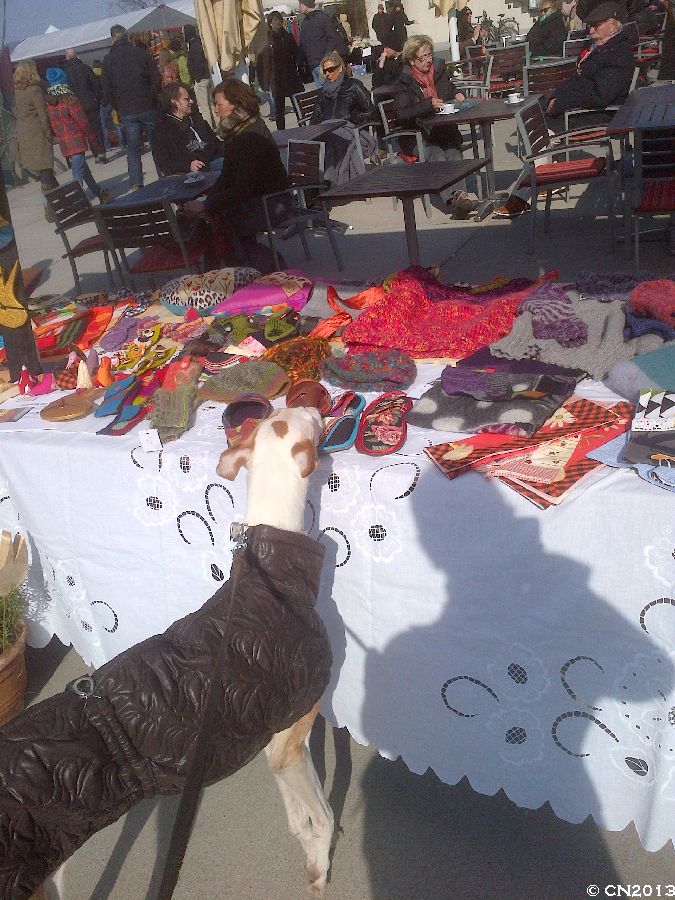 900_IMG-20130401-01519.jpg
