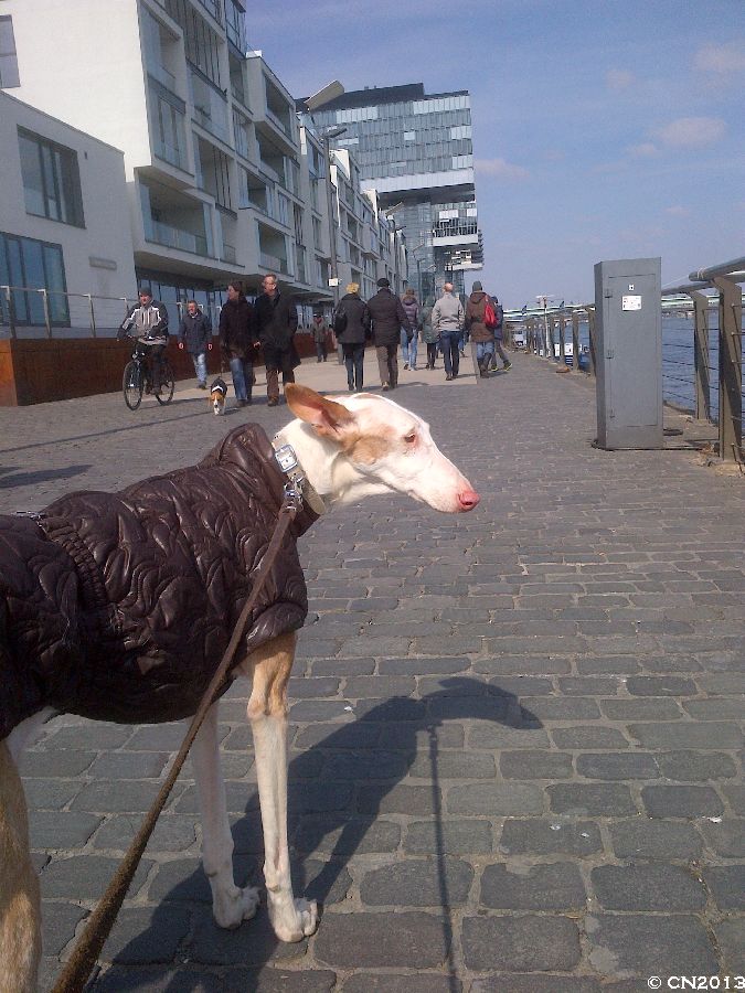 900_IMG-20130401-01499.jpg