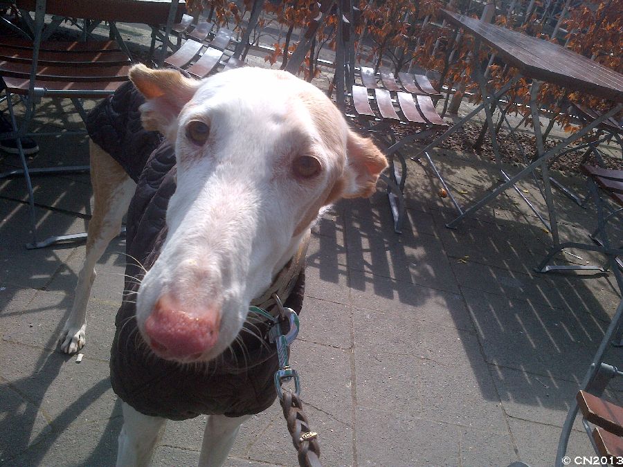 900_IMG-20130401-01503.jpg