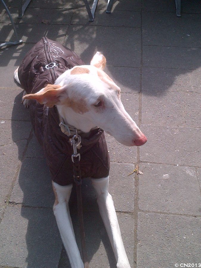900_IMG-20130401-01504.jpg