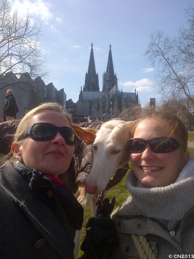 900_IMG-20130401-01510.jpg