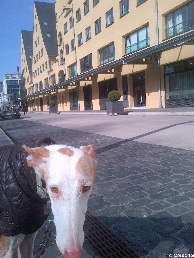 900_IMG-20130401-01517.jpg