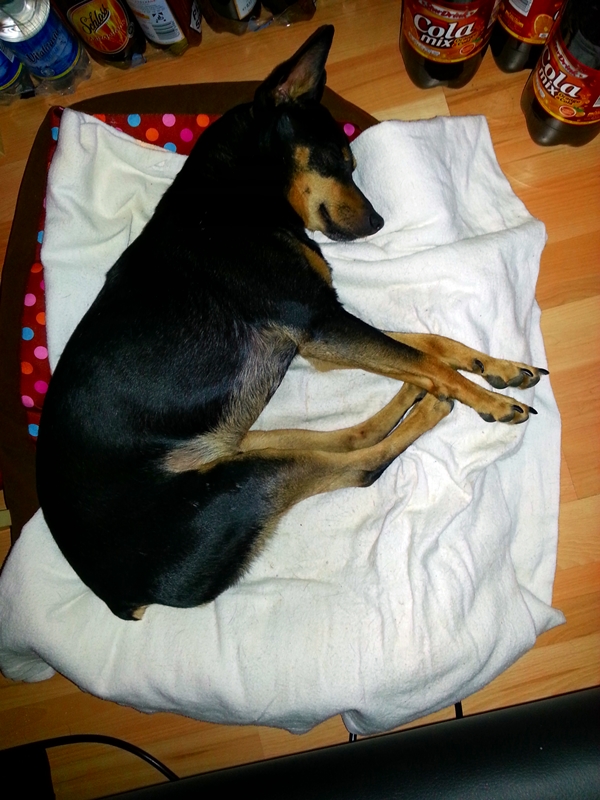 20130331_140805.jpg