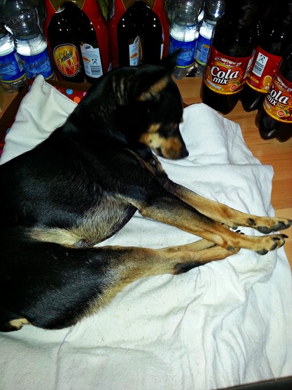 20130331_140812.jpg