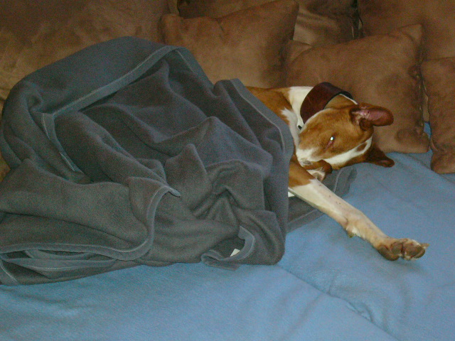 P1020411.JPG