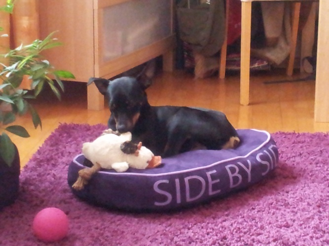 2013-03-30 10.14.54.jpg