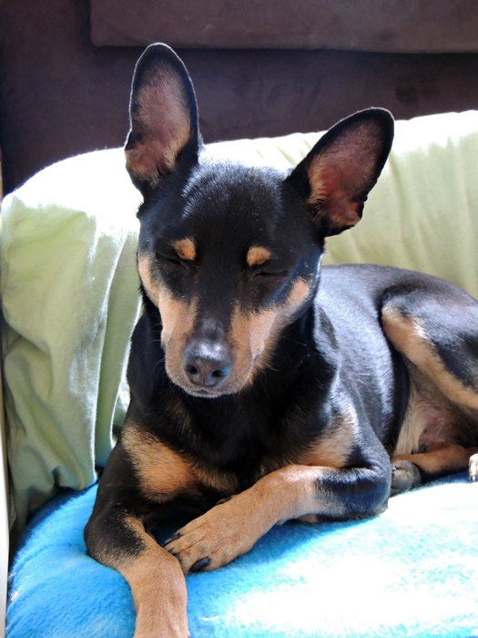 DSCN0068.JPG