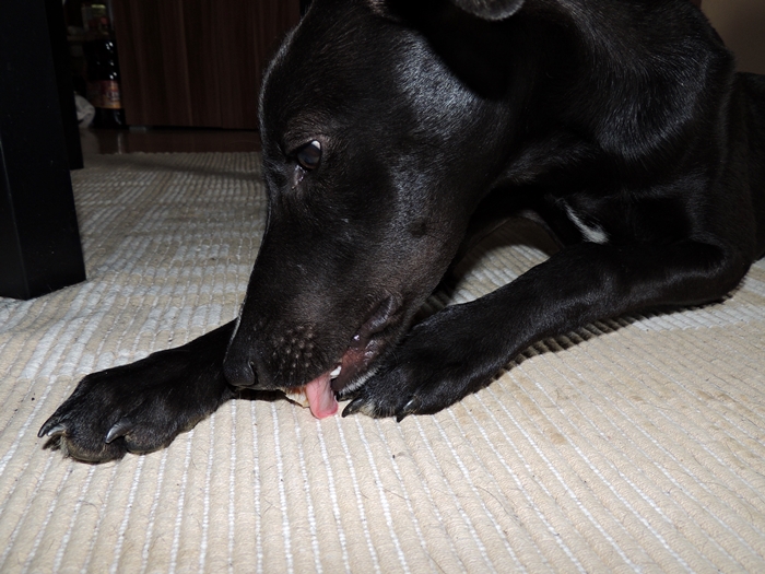DSCN0075.JPG