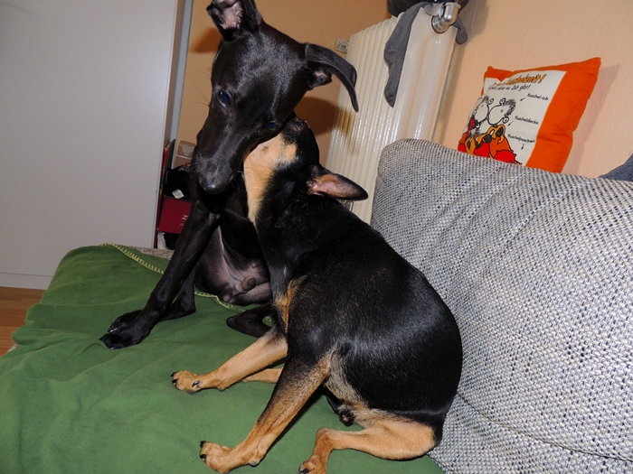 DSCN0080.JPG