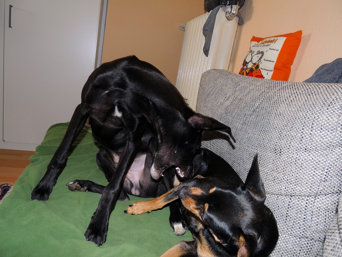 DSCN0083.JPG