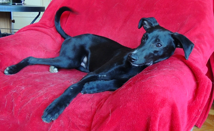 DSCN0109.JPG