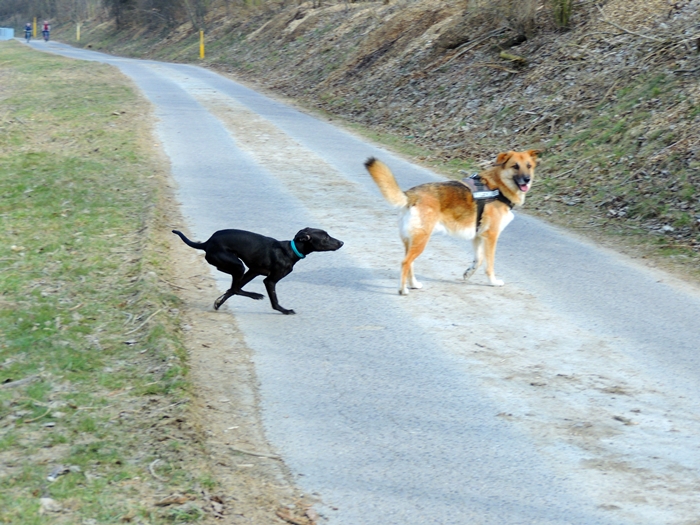 DSCN0118.JPG