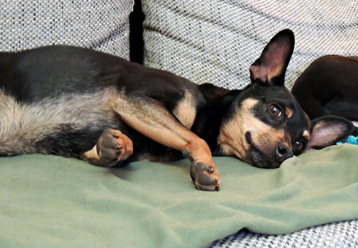 DSCN0153.JPG