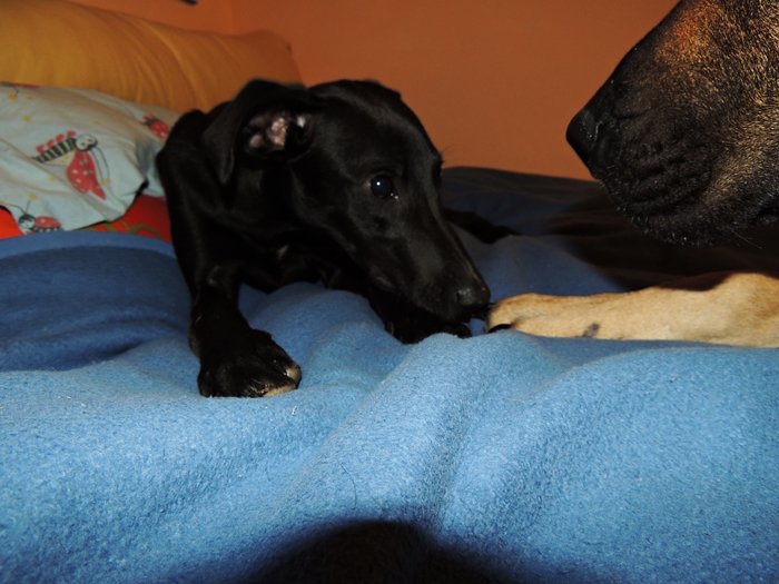 DSCN0207.JPG