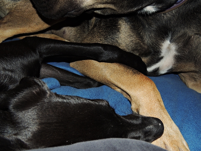 DSCN0235.JPG