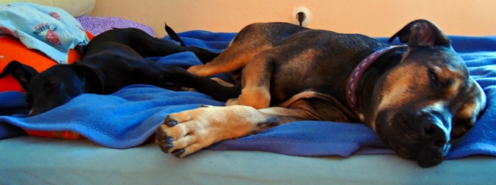 DSCN0240.JPG