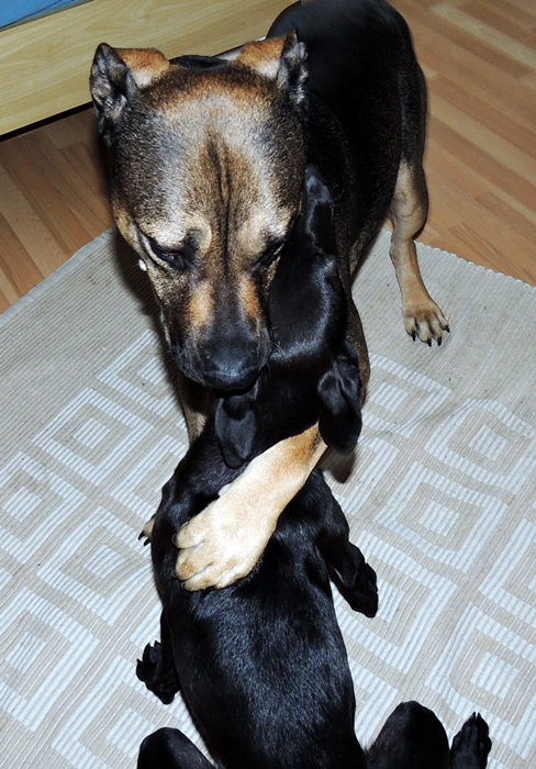 DSCN0260.JPG