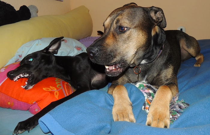 DSCN0268.JPG