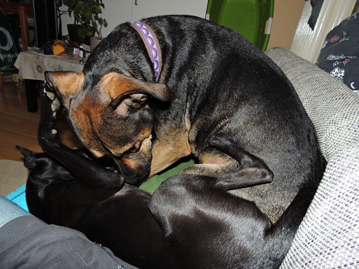 DSCN0280.JPG