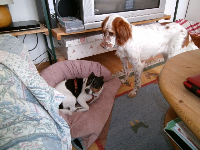 Foto 2 (640x480).jpg