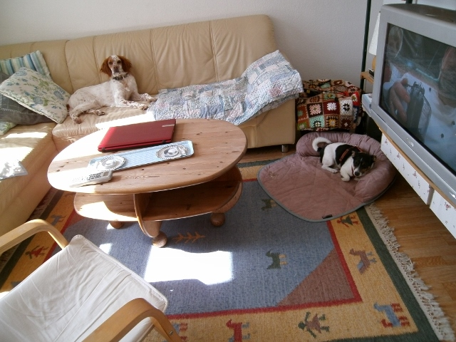 Foto 1 (640x480).jpg