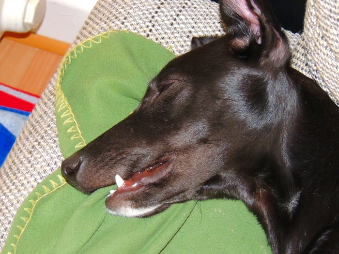 DSCN0319.JPG