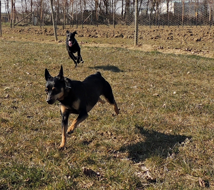 DSCN0498.JPG