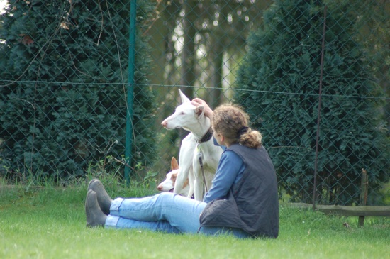 CENI läßt sich kraulen.jpg