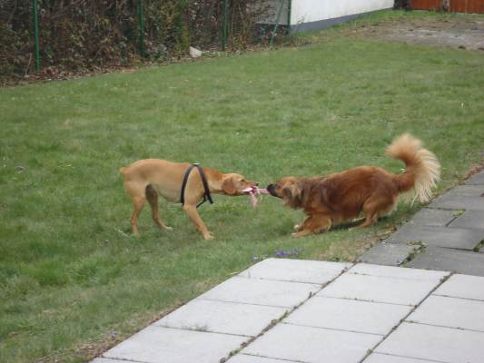 Canela Urlaub 003.JPG
