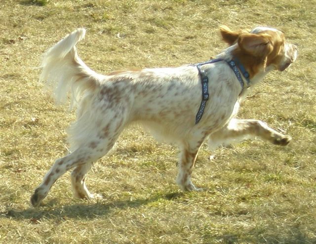 Bild 20.jpg